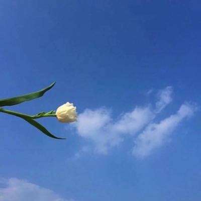 指尖疯狂之旅游戏下载
